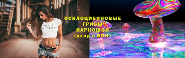 гашик Покровск