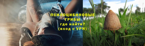 прущий лед Аркадак